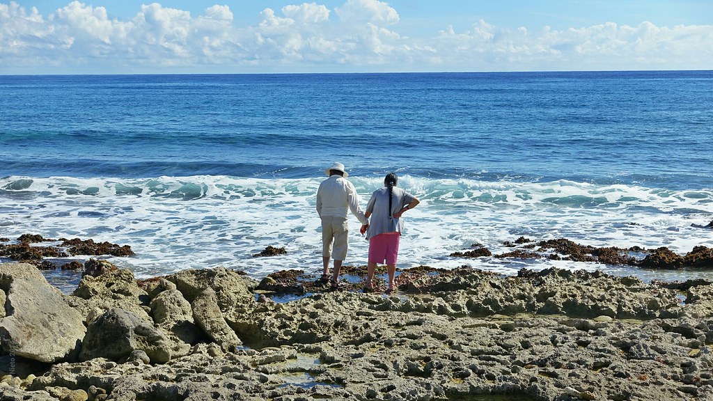 Akumal — nada con tortugas verdes en su hábitat natural