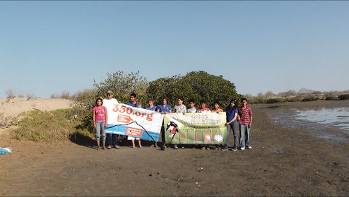 Desierto y Mar de Cortés — manglares + desierto Altar + comunidad Seri