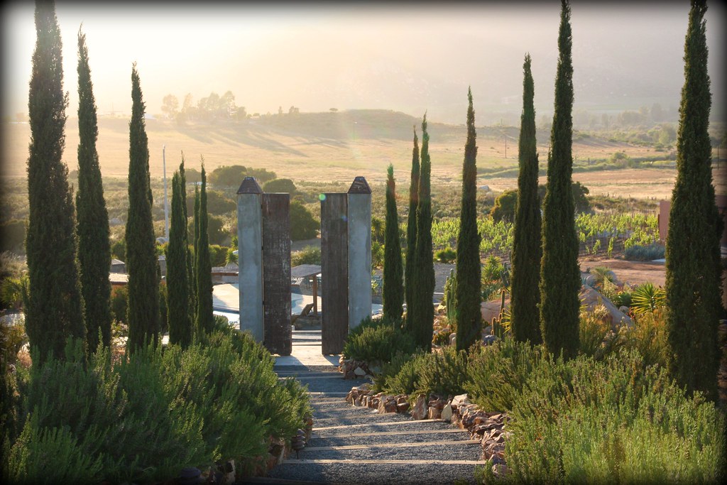Valle de Guadalupe de lujo: tres bodegas y glamping en viñedo