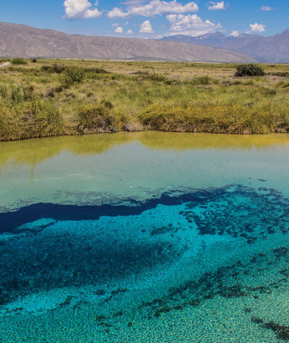 Coahuila