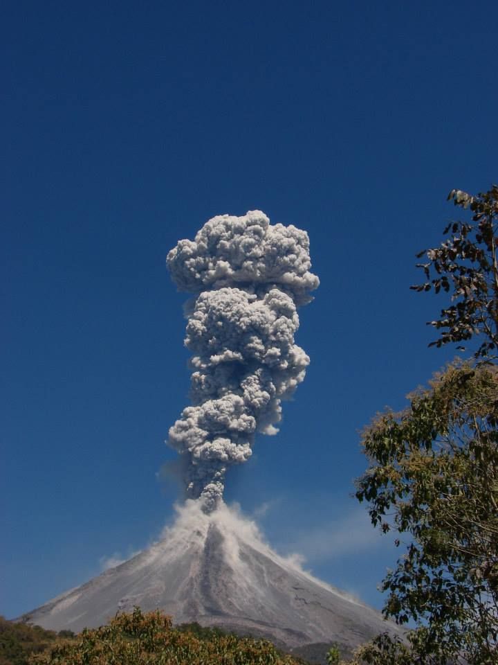 Colima