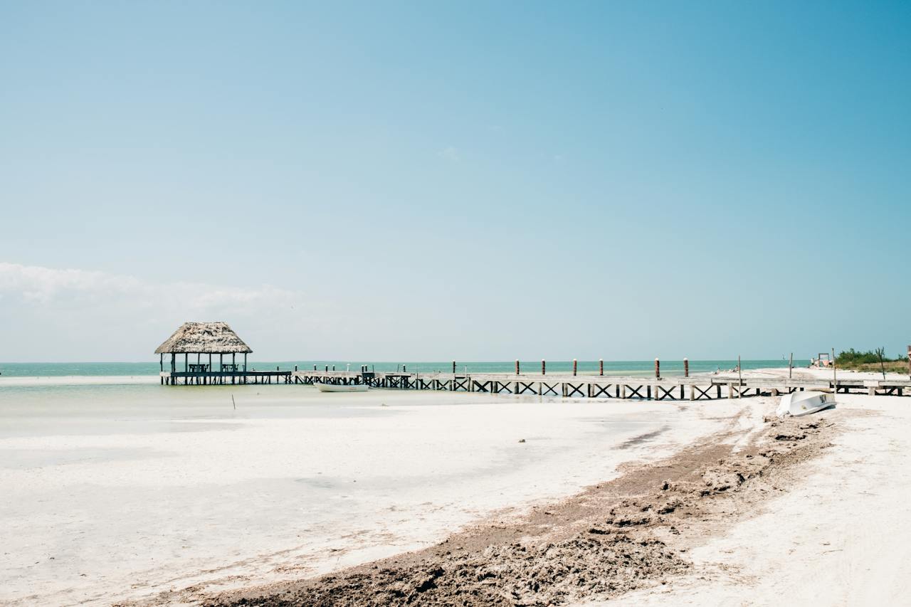 Isla Holbox y Tiburón Ballena — Experiencia Esencial (grupo compartido)