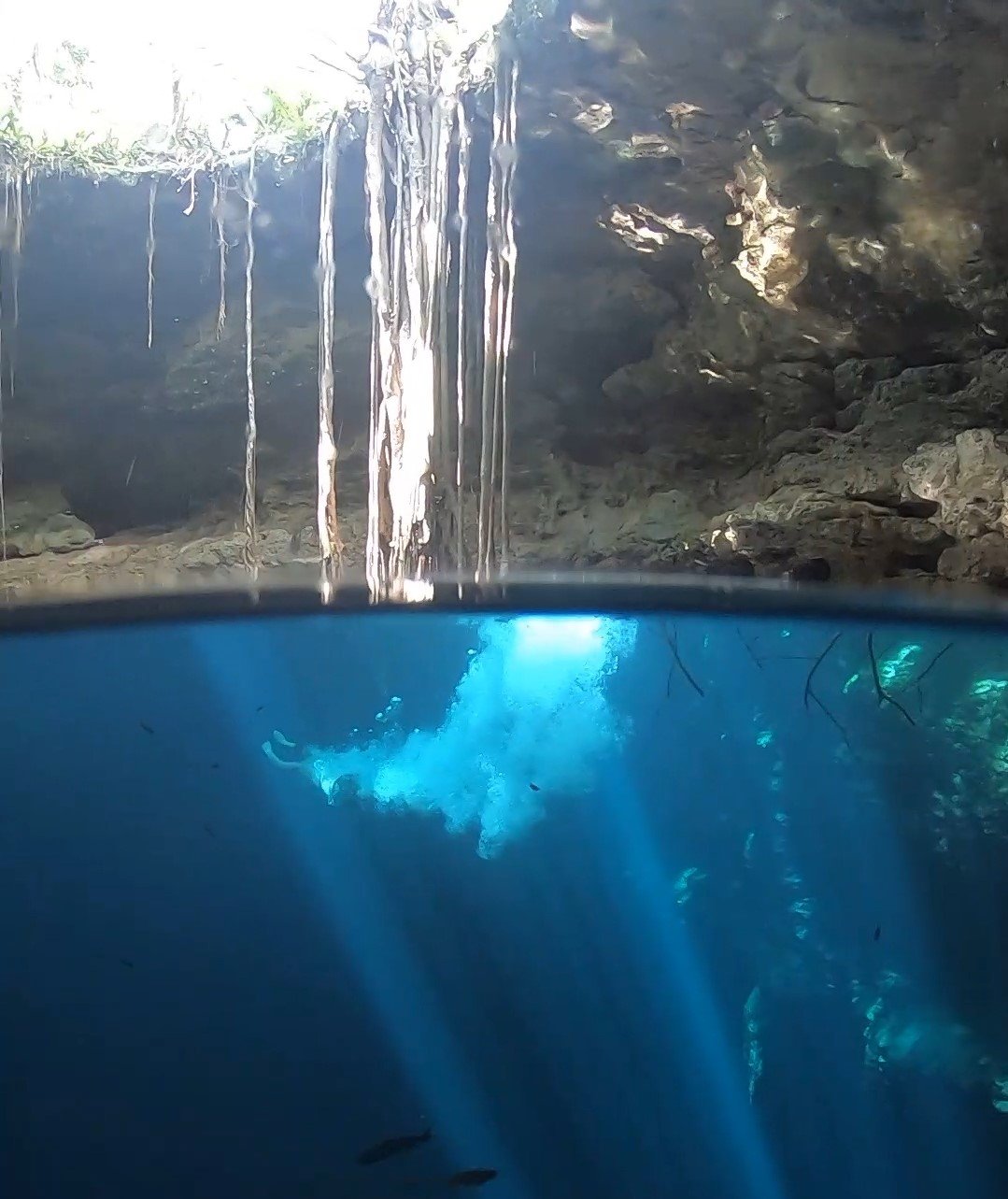 Ruta de cenotes Riviera Maya — 4 cenotes en van privada