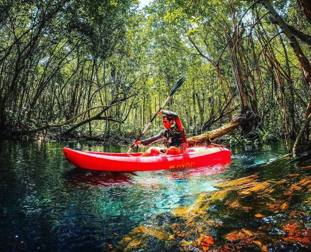 Sian Ka'an kayak — manatíes, delfines y canales mayas