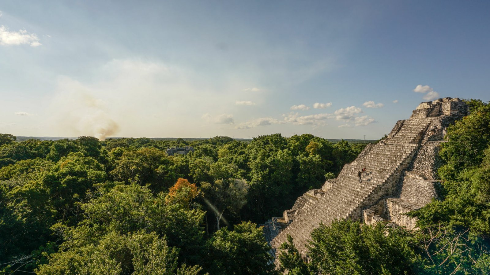 Calakmul lujo — lodge en biosfera + avistamiento nocturno