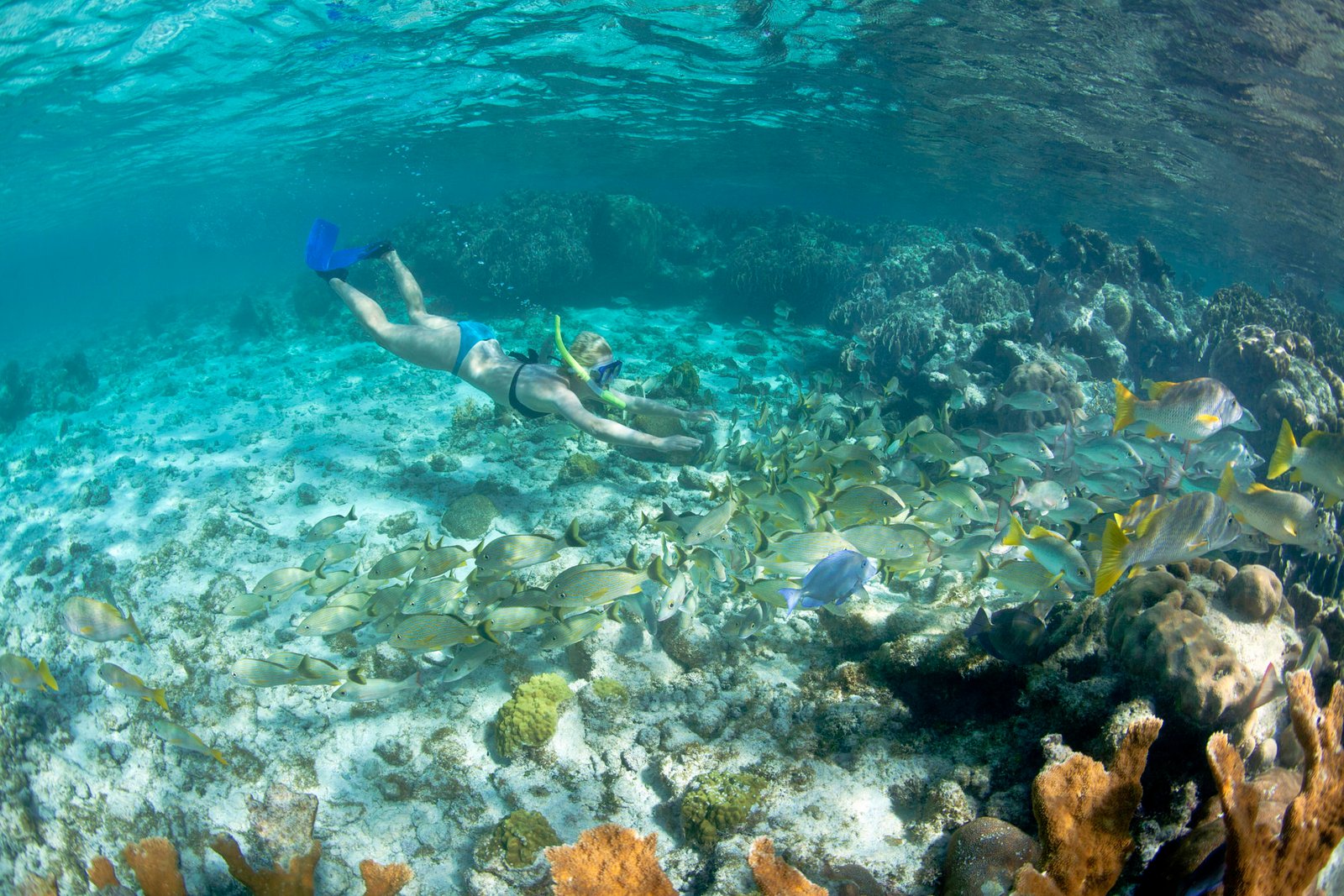 Akumal privado — snorkel profundo + laguna Yal-Ku