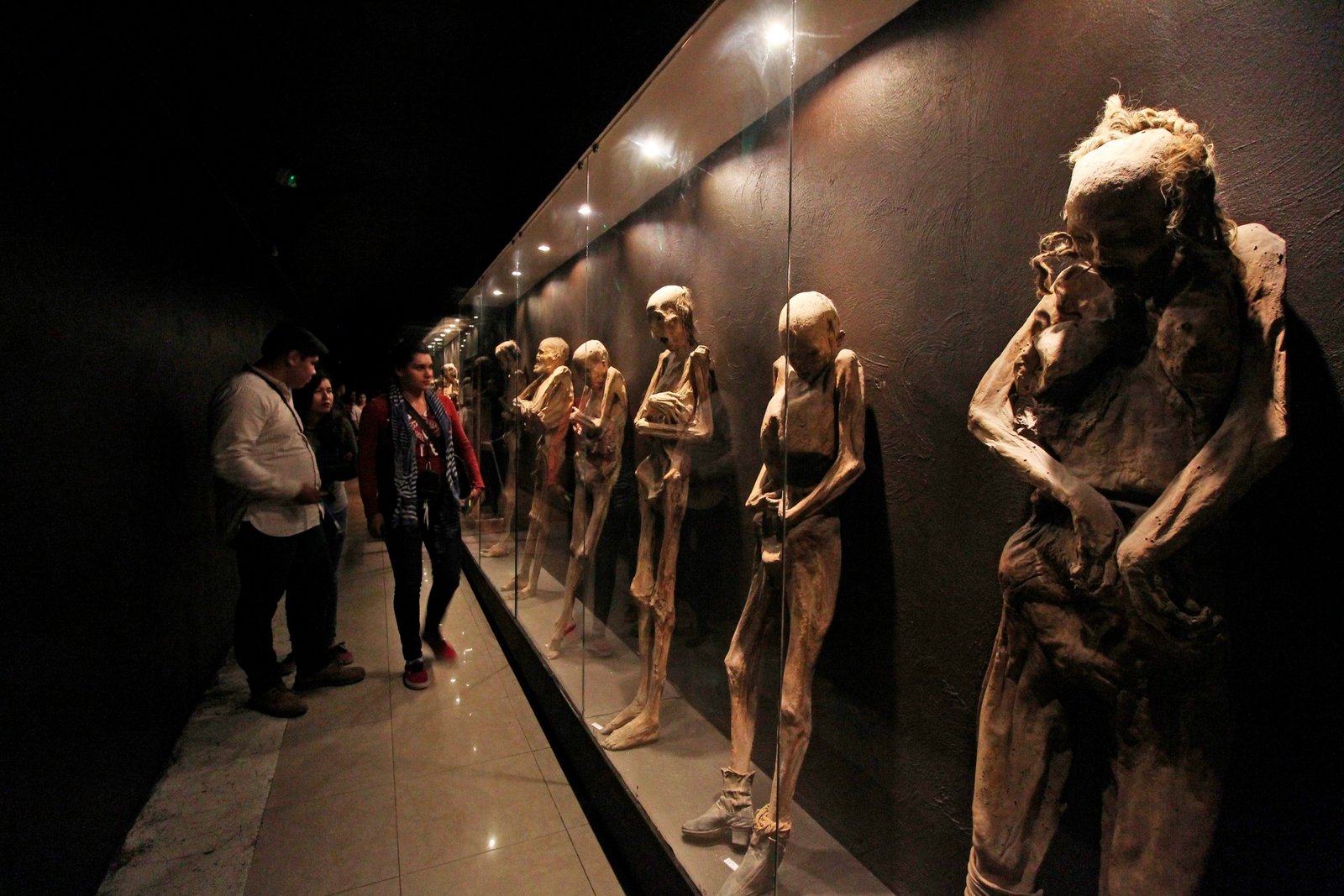 Guanajuato Discovery — tour privado temático con conductor-guía