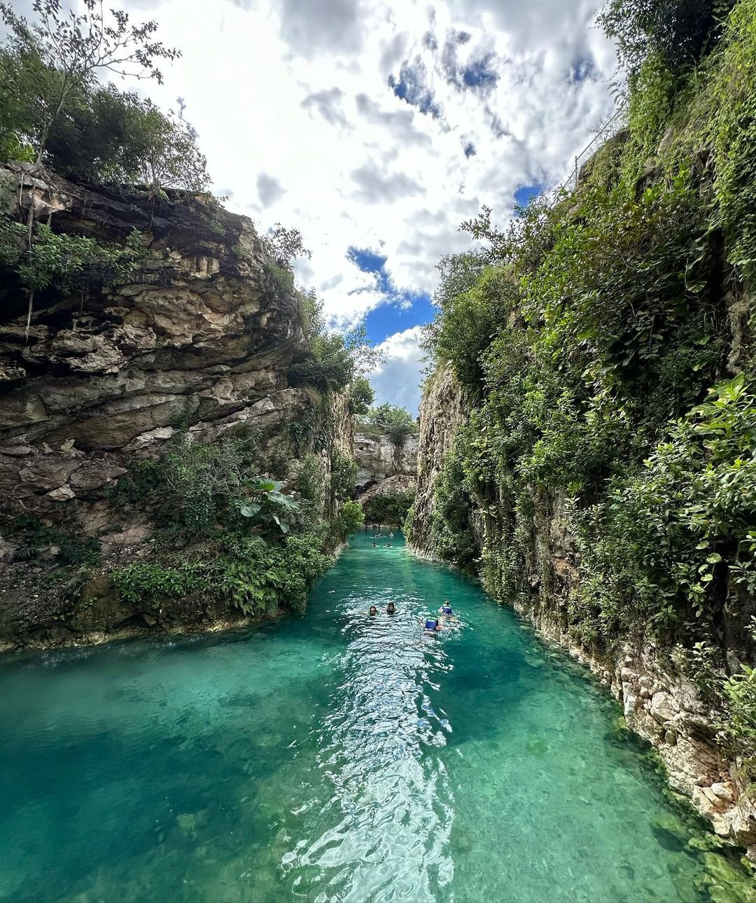 Tour compartido: Experiencia 4 cenotes Premium, en Yucatán saliendo de la ciudad de Mérida.