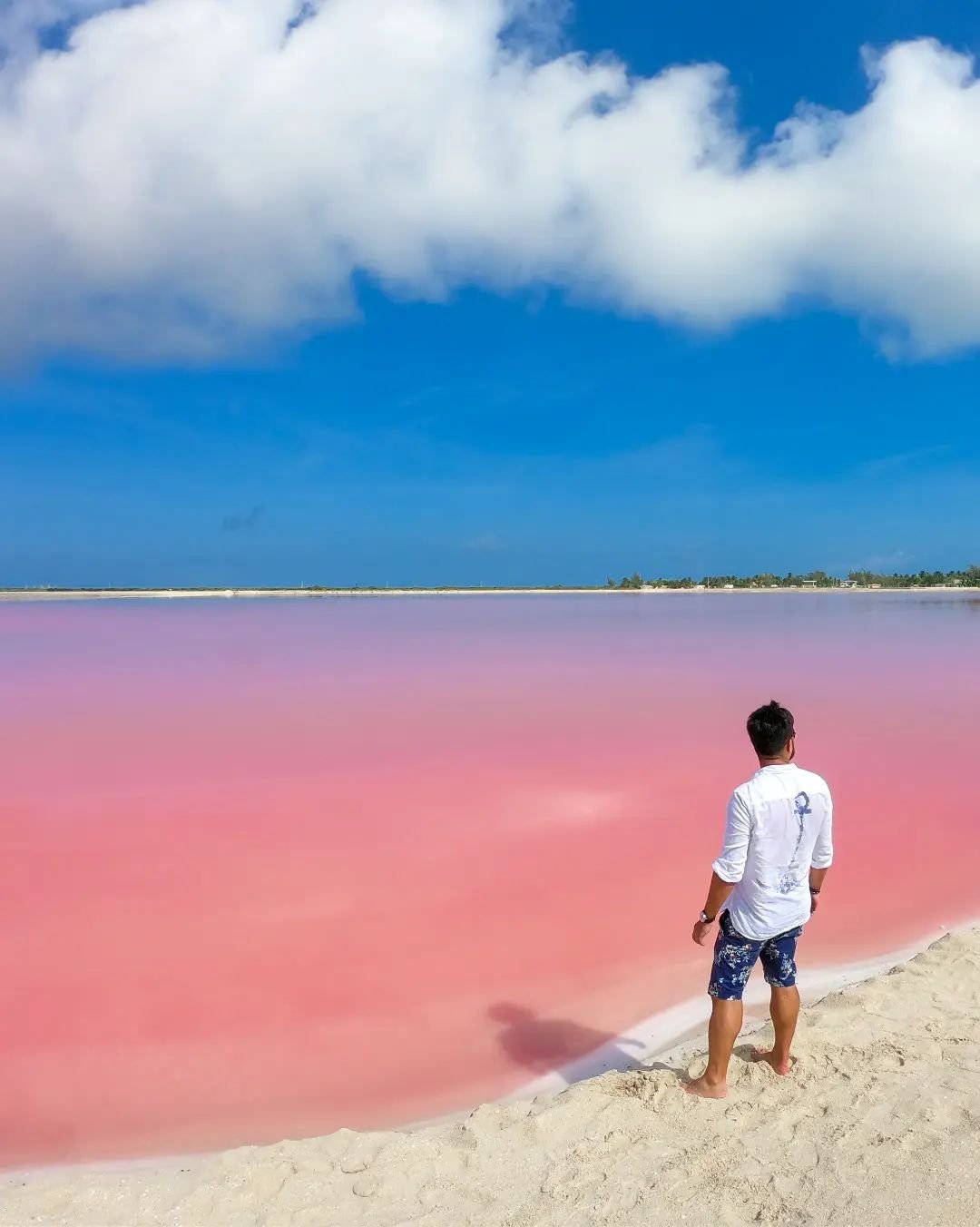 Tour compartido Coloradas + Cancunito + Río Lagartos premium saliendo de la ciudad de Mérida