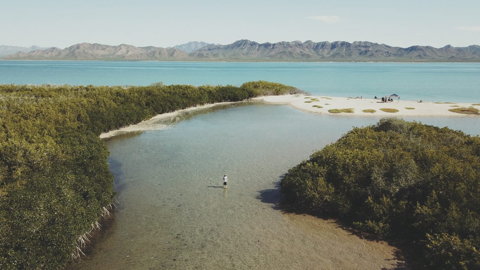 Tour a isla tiburón en Sonora, saliendo desde la ciudad de Hermosillo