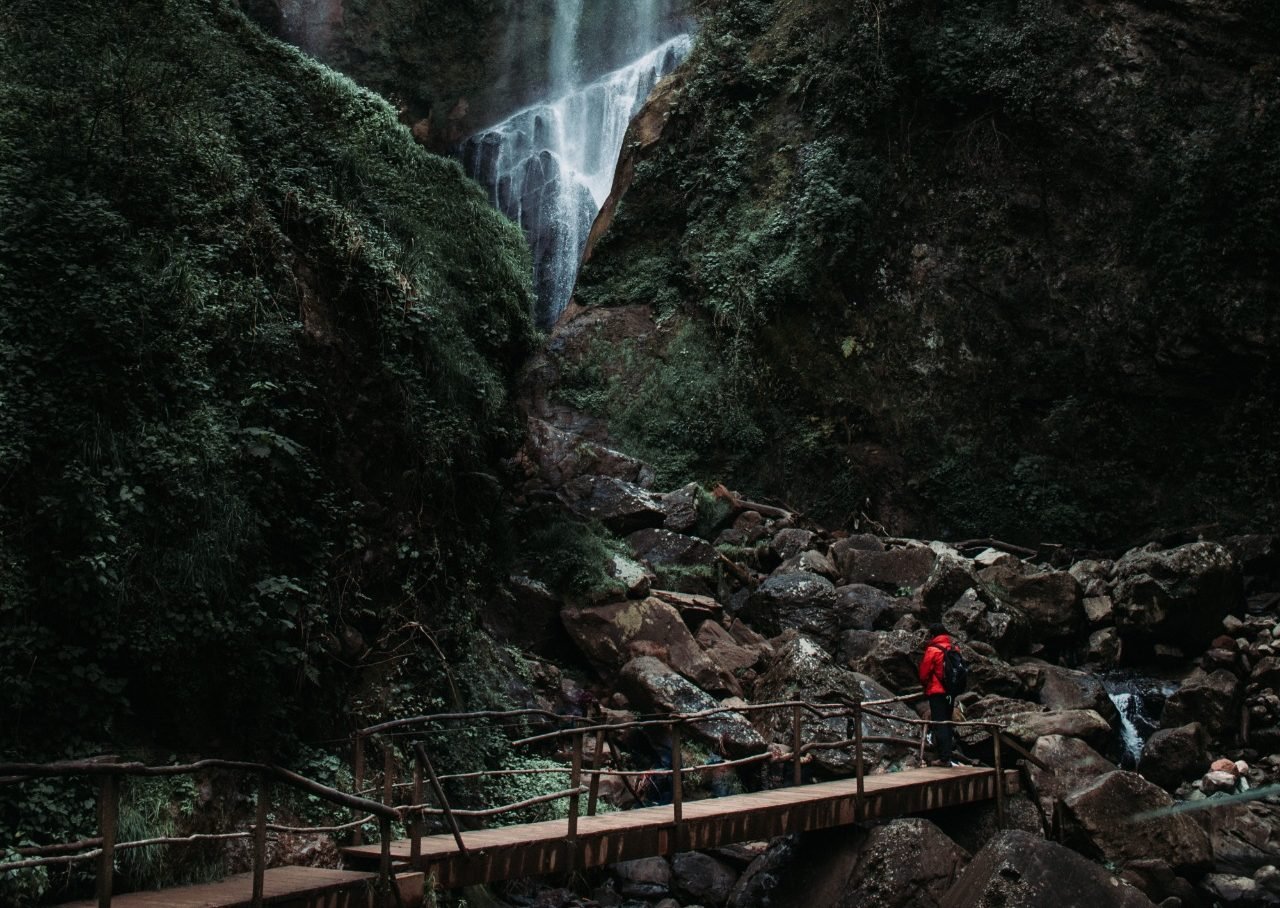 Tour en las cascadas de Honey