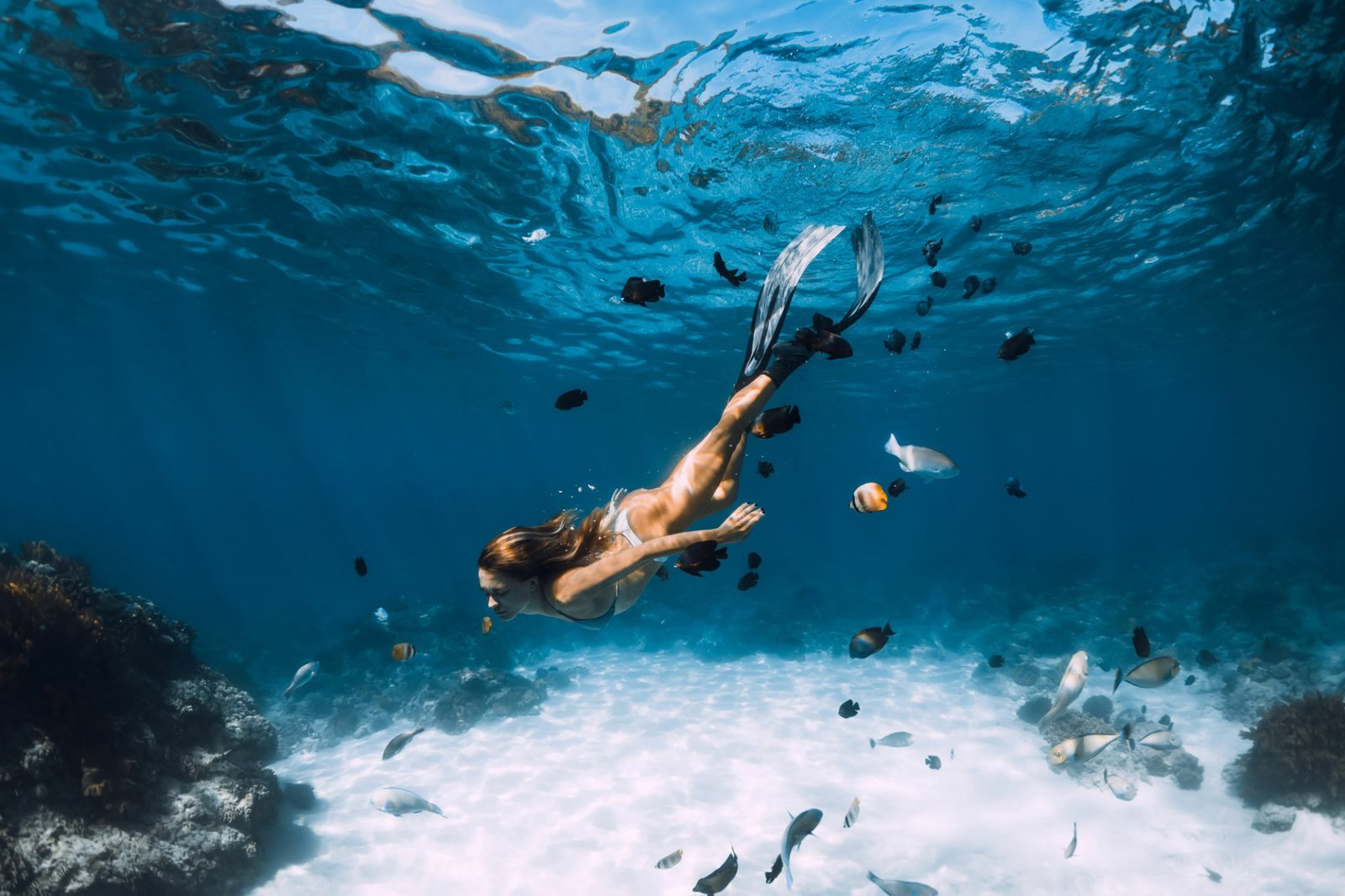 Tour de snorkel en Cabo San Lucas con barra libre y aperitivos, saliendo desde la marina de Cabo San Lucas