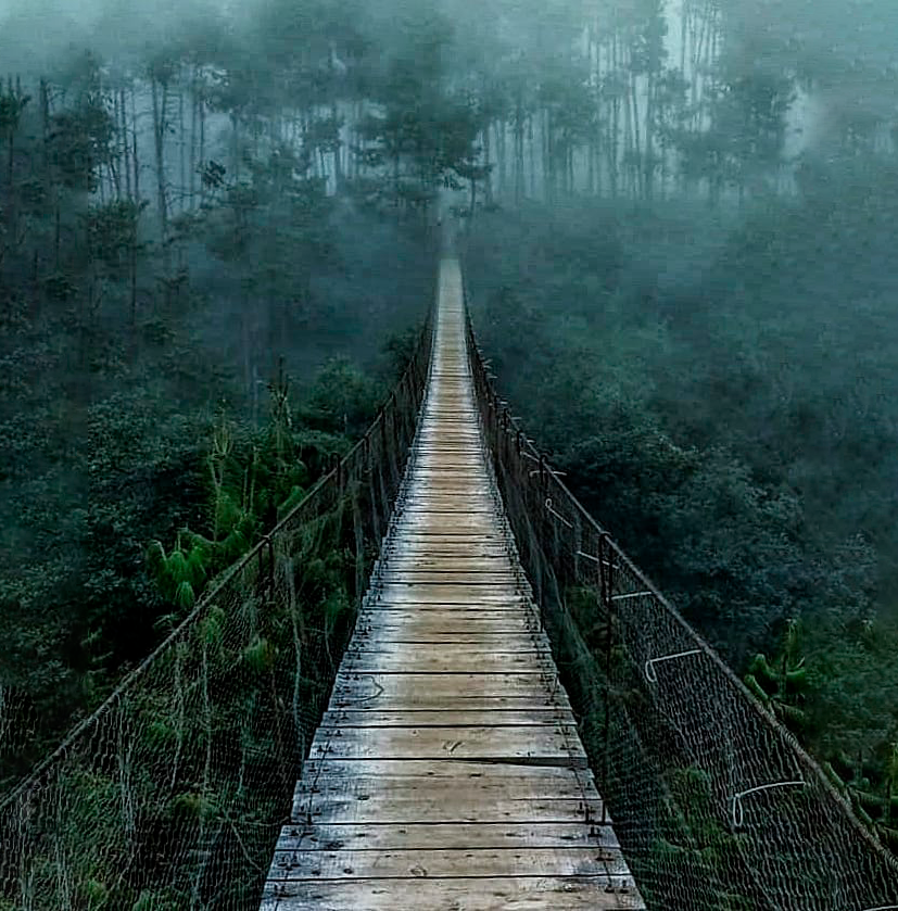 Tour por las diez cascadas de Honey en Puebla. Saliendo desde Ciudad de México
