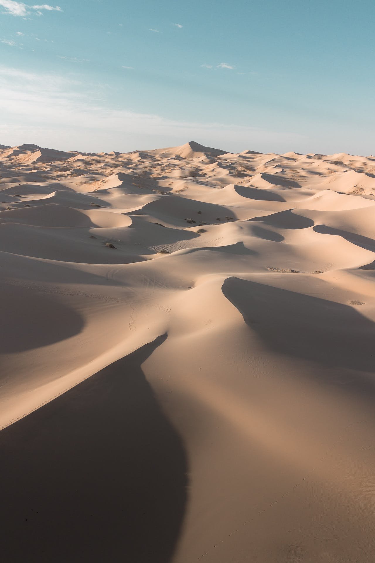 Tour al desierto de "Smalayuca" en Chihuahua, saliendo desde la ciudad capital