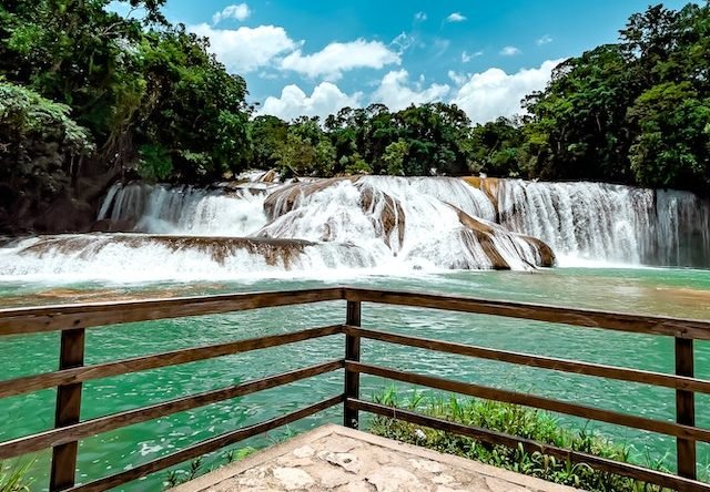 Tour a las cascadas de agua azul