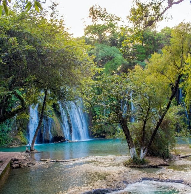 Tour a cascada de Tamasopo